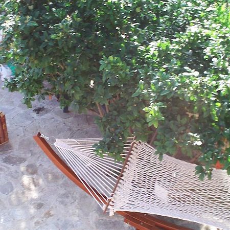 Villa Eden Golden Sands Εξωτερικό φωτογραφία