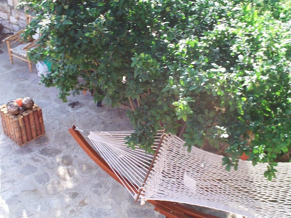 Villa Eden Golden Sands Εξωτερικό φωτογραφία